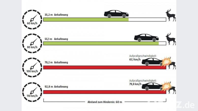 Taucht ein Tier 60 Meter vor einem Auto auf, das 100 km/h fährt, kracht es. (Quelle: ADAC) Grafik: nt/az