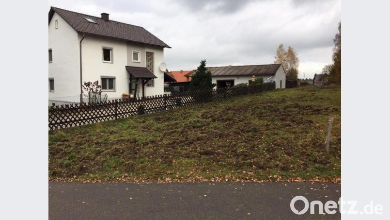 Die Wildschweine verursachten in der Gemeinde – wie hier in der Fischbacher Straße – hohe Schäden. Bild: exb/Harald Bemmerl