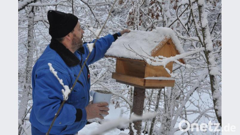 Die Spendengelder wollen die Vereinsmitglieder der Vogelfreunde und -schützer lieber für die gefiederten Freunde ausgeben als für die Miete in der Stadthalle. Archivbild: dob