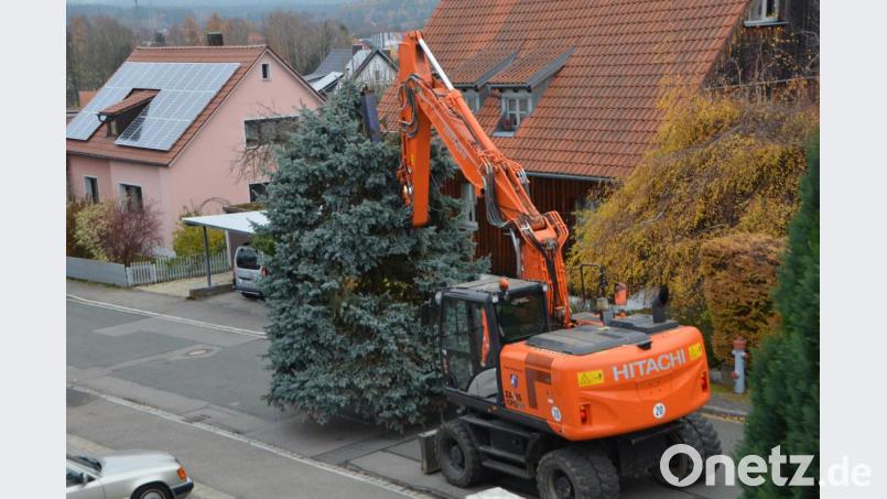 Bauhofmitarbeiter holten den Baum ab. Bild: dob