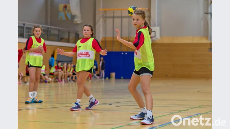 Die D-Jugend-Handballerinnen übernahmen die Tabellenführung nach ihren beiden Siegen. Bild: Guenter Uschold