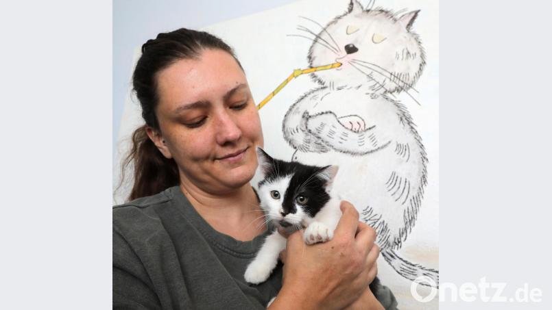 Jennifer Caudill arbeitet ehrenamtlich beim Tierheim. Auf dem Arm hält sie Kater Axel. Bild: Wolfgang Steinbacher