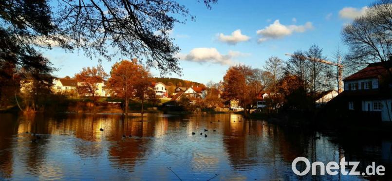 Die herbstliche Stimmung am Marktweiher in Oberviechtach hat Ernst Meindl eingefangen. Bild: exb/Ernst Meindl