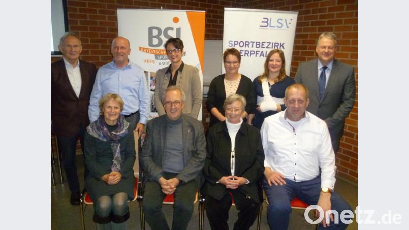 Ehrungen durch die Bayerische Sportjugend (bsj) im BLSV. Stehend von links Franz Fuchs(Ehren-Kreisvorsitzender), Reinhard Weber (Kreisvorsitzender), Tina Nentwig (Beisitzerin), Helga Powalla (stellvertretende Kreisvorsitzende), Anita Powalla (Jugendsprecherin) und Richard Reisinger (Landrat). Sitzend von links die Geehrten: Siegrid Ringeisen, Franz Mädler, Regine Allwardt und Wolfgang Scharnagel. Bild: usc