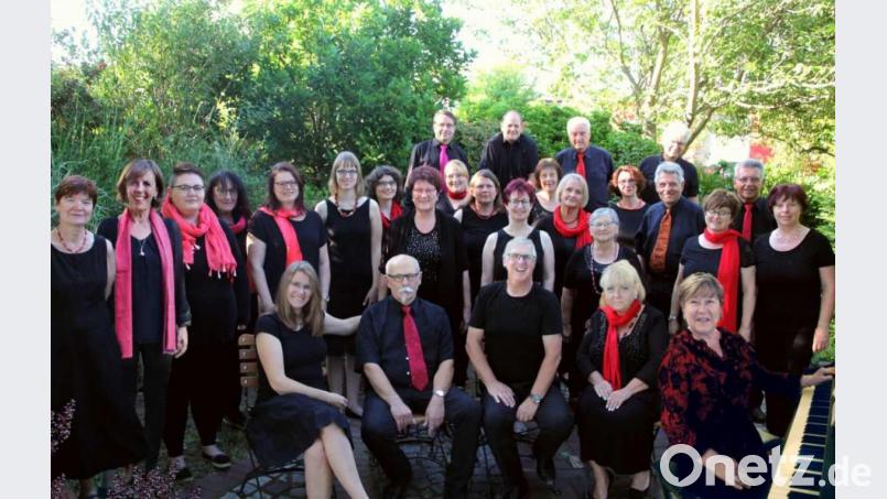 Der Mitterteicher Chor „Music &amp; More“ gibt diesen Sonntag, 24. November, im Kuppelsaal des Bezirksklinikums ein Konzert. Bild: exb