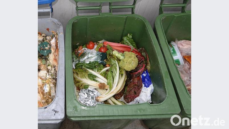 Der Bio-Müll aus dem Landkreis Tirschenreuth wird ab nächstem Jahr wieder in Oberfranken verwertet. Bild: agentur_dpa