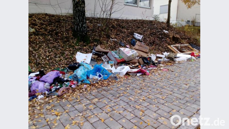 So sieht es nach dem Sperrmüll im Sägmühlweg in der Nähe der Zollhäuser aus, und das zweimal im Jahr. Bild: exb