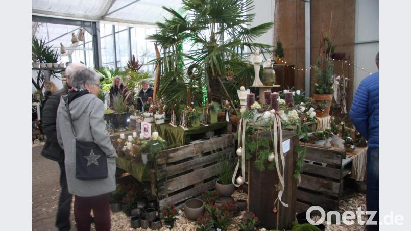 Bei der Ausstellung im &quot;Gwäxhaus&quot; war für jeden etwas dabei. Bild: wro