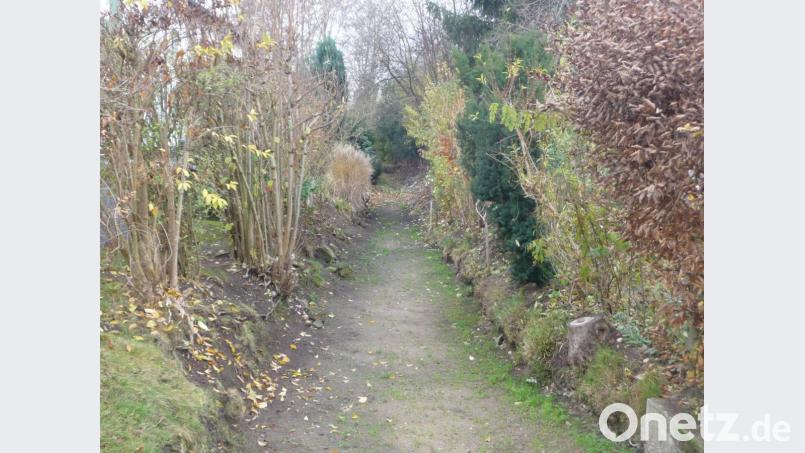 Nicht einmal mehr ein Rinnsal: Der Rehmühlbach ist vollkommen ausgetrocknet. Bild: Kunz
