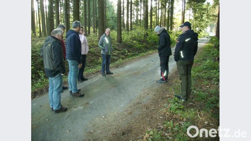 Wie sehr Baumwurzeln die Fahrbahn der Straße Preißach-Barbaraberg untergraben haben, begutachtete der Bauausschuss des Trabitzer Gemeinderats Ende Oktober. Eine schadensbegrenzende "erste Hilfe" will die Gemeinde so bald als möglich vornehmen, die tiefgreifendere "Wurzelbehandlung" soll mittelfristig folgen. Bild: bjp