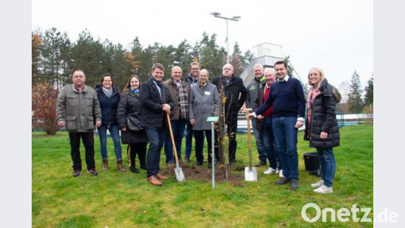 CSU-Stadtratsfraktion und CSU-Kreisverband Weiden lösen ein Versprechen ein und pflanzen einen Baum im Schätzlerbad als Ersatz für die Verluste nach den Sturmschäden im Herbst 2018. Bild: exb