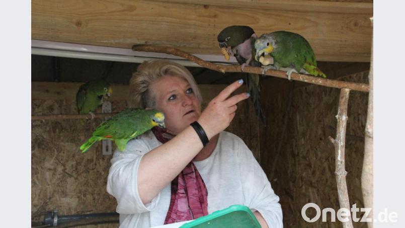 Viele Tiere haben schlimme Schicksale hinter sich, Ulrike Jackson holt sie mit ihrer Pflege zurück ins Leben. Bild: kmo