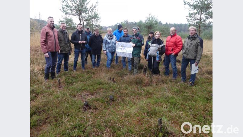 Baumstümpfe zeugten in der Verlandungszone des Böllerweihers von der Arbeit der Waldläufer. Damit ist auch der Erhalt von Moosbeeren, Sonnentau und Wollgras gesichert. Bild: rn