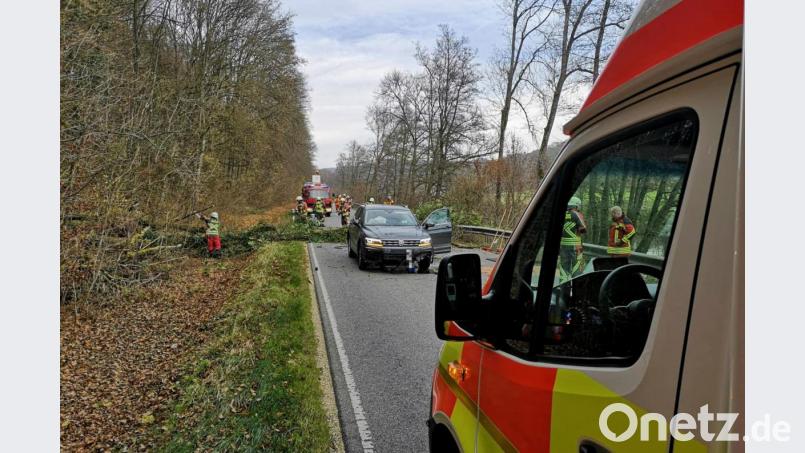 Der Unfall-VW konnte nicht mehr bremsen. Bei der Kollision mit dem umgefallenen Baum wurde das Auto stark beschädigt. Bild: Alexander Auer