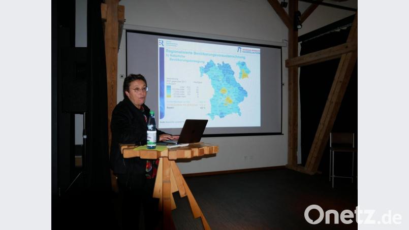 Professorin Dr. Gabi Troeger-Weiß bei ihrem Vortrag über die &quot;Zukunftsperspektiven von Landkreisen und Gemeinden im Fichtelgebirge&quot; im Kunsthaus Waldsassen Bild: hmr