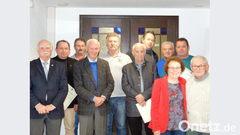 Sie halten dem Briefmarkensammlerverein seit Jahrzehnten die Treue (von links): Hans Dietmayr, Joachim Amberger, Andreas Heinl, Wolfgang Dietrich, Georg Ströhl, Bernhard Arbogast, Bernhard Karl, Werner Graml, Bürgermeisterin Brigitte Netta, Alfred Stöckelmeier und Michl Prem. Bild: Dietmayr/exb