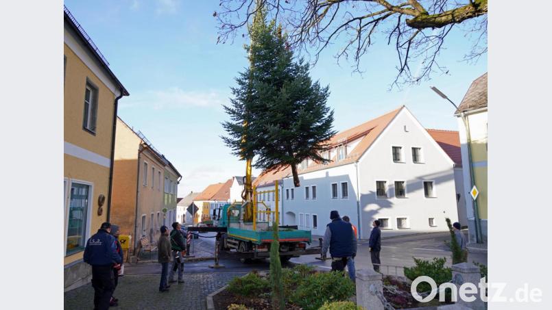 Die Edeltanne schwebt von der Trad in Waldthurn zum Marktplatz. Bild: fvo