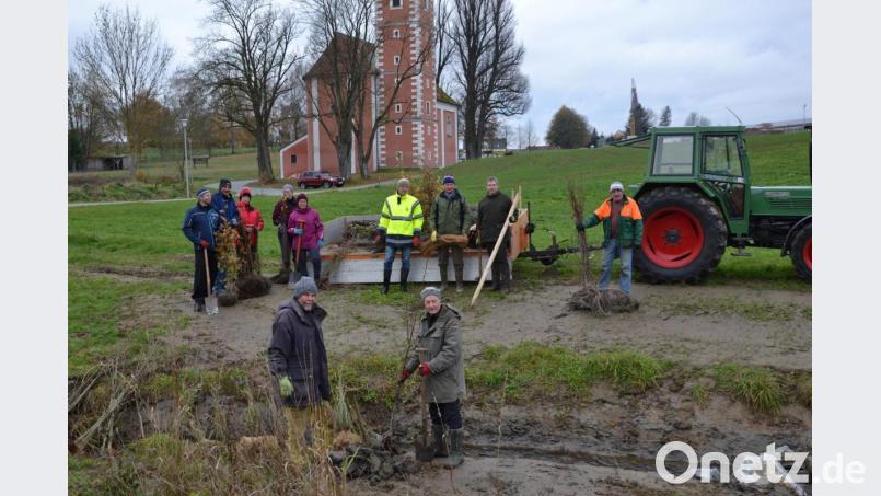 Mitglieder des Waldvereins und der Siedlergemeinschaft halfen der Teilnehmer-Gemeinschaft der Dorferneuerung Moosbach II beim Bepflanzen des renaturierten Gruber Baches. Die Leitung oblag Markus Mayer vom AfLE, der sich zusammen mit Bürgermeister Hermann Ach bei den Helfern bedankte. Bild: gi