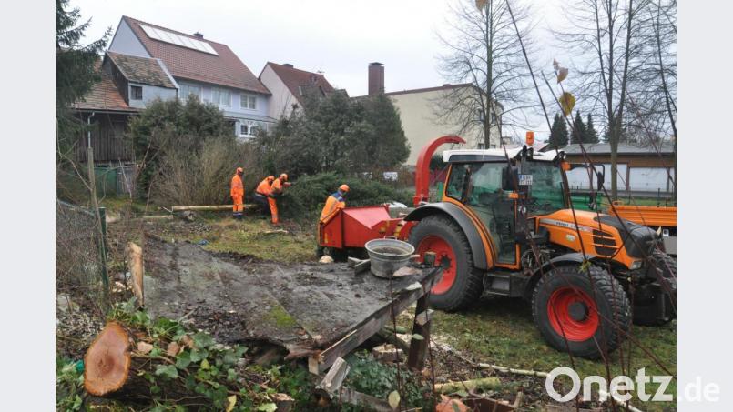 Auf dem Gelände für den neuen &quot;Altstadt-Kindergarten&quot; tut sich etwas. So wurden am Freitag von Stadtmitarbeitern die Büsche und Bäume entfernt. Bereits im September kommenden Jahres soll der neue Kindergarten fertig werden. Zunächst muss der Bebauungsplan die entscheidende Hürde nehmen. Bild: ws