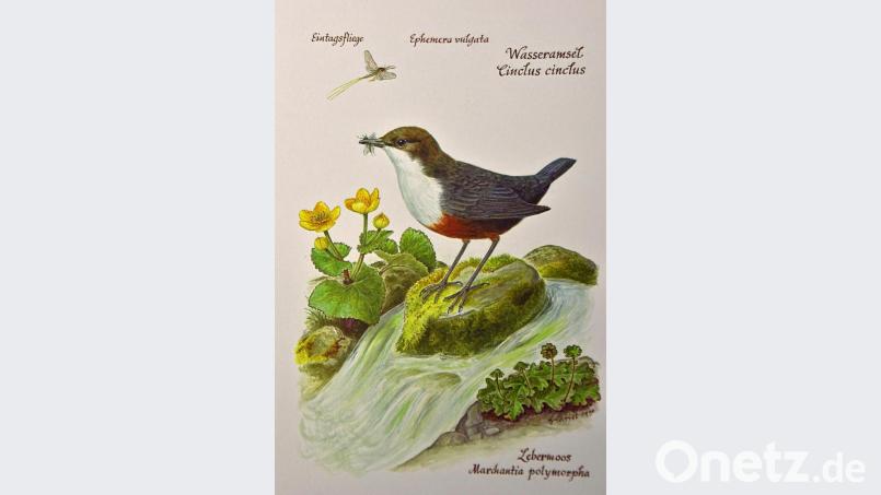 Auch für die Ausstellung „Leben am Fluss“ zur Landesgartenschau in Amberg steuerte Hildegard Christ einige Werke bei. Bild: Andreas Royer