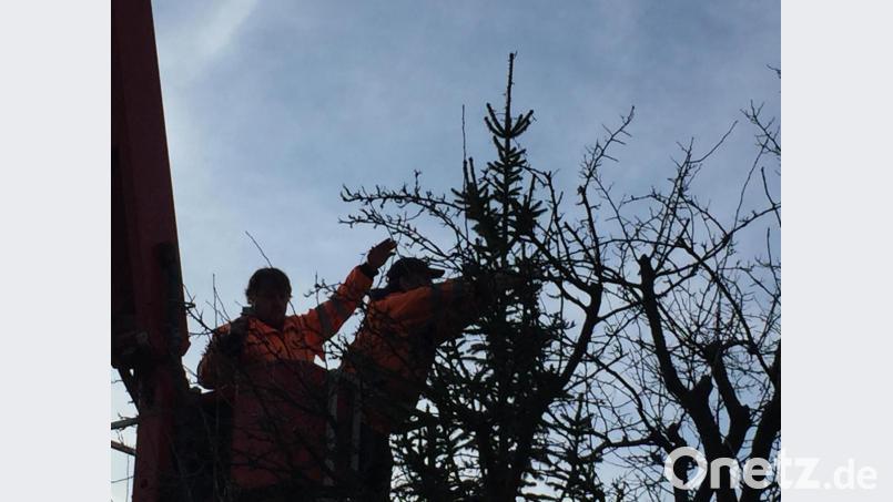 In Fuhrmannsreuth steht schon der Christbaum. Bild: exb