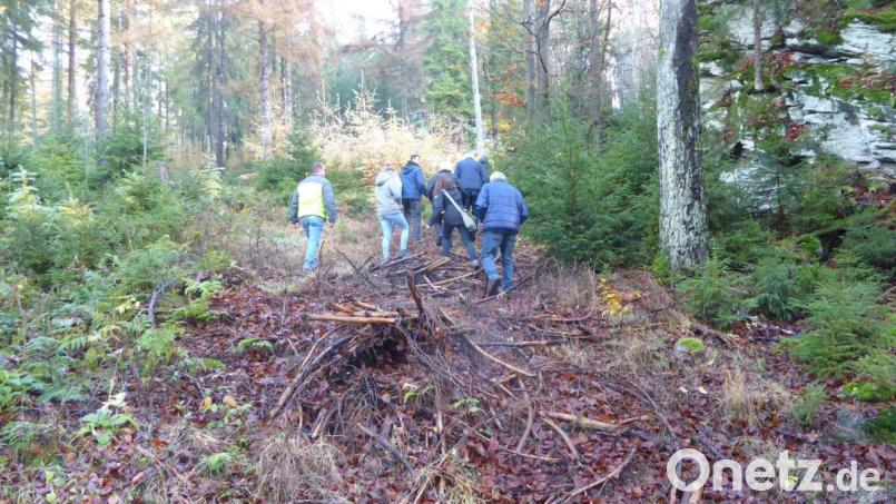 Förster Wolfgang Schödel zeigte den Mitgliedern der Bürgerliste vor Ort, wie der Wald auf die geänderten klimatischen Bedingungen vorbereitet werden kann. Bild: exb