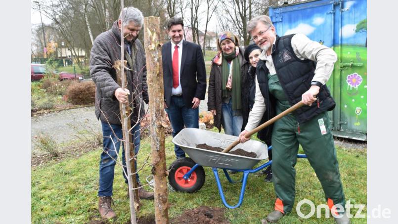 Die &quot;Bund Naturschutz&quot;-Kreisgruppe spendet die Linde, die sie zum 40- jährigen Jubiläum bekommen hat, dem &quot;Interkulturellen Garten&quot;. BRK- Kreisgeschäftsführer Sandro Galitzdörfer (hinten, links) dankt. Bild: hcz