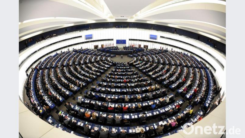 Blick in den Plenarsaal des Europaparlaments. Einer der Abgeordneten ist Christian Doleschal (CSU) aus Brand (Kreis Tirschenreuth). Bild: Patrick Seeger