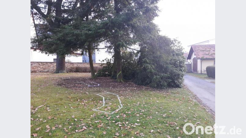 Die markierten Flächen auf dem Rasen stellen den späteren Standort der Urnengrab-Stelen im Bereich des unteren Friedhof-Eingang dar. Die beiden Bäume dahinter sollen entfernt werden, bestehen bleibt die Eiche am Weg entlang der Friedhofsmauer. In der früheren Leichenwagen-Garage (rechts) entsteht ein Kolumbarum mit Urnen-Boxen. Wenn das Wetter aushält, soll der Stadtbauhof noch dieses Jahr die Fundamente für die Urnen-Grabstelen setzen. Bild: pz