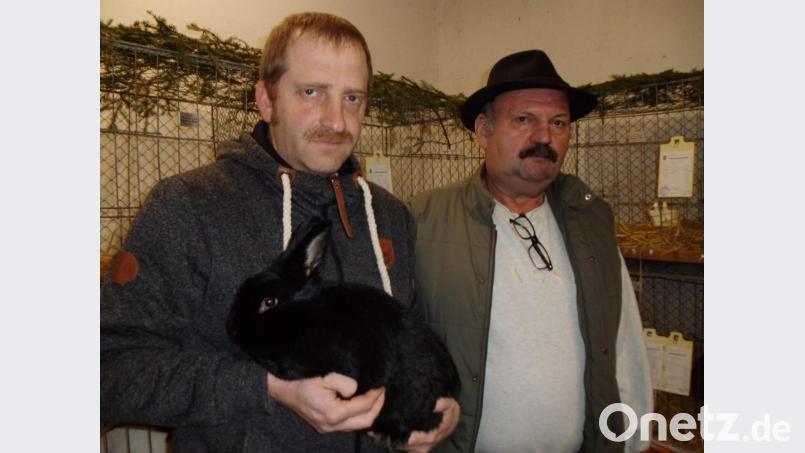 Die Hirschauer Hoserer sind gespannt, welches ihrer Kaninchen von den Preisrichtern dieses Jahr als bester Rammler ausgezeichnet wird. Im Vorjahr war dies Alex Hollederers (l.) Alaska. Rechts im Bild: Vorstand Georg Maier. Bild: u