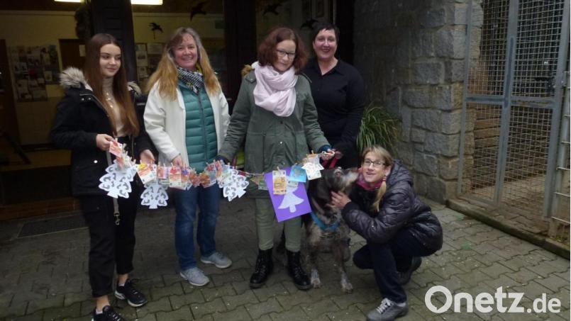 Spendenübergabe im Tierheim Amberg (von links): Nelli Gorny (M 8), Sabine Rothfischer, Leonie Überall (M 8), Silvia Simon und Lehrerin Felicitas Berger mit Rüde Konrad. Bild: kal