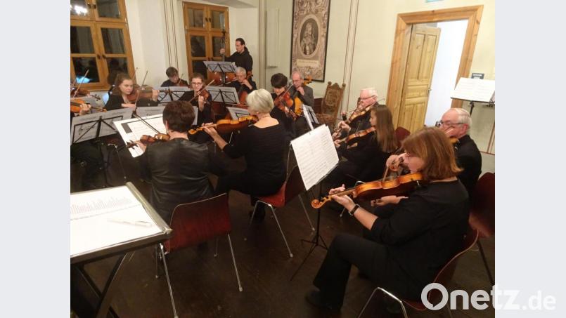 Das Orchester in Aktion Bild: hm