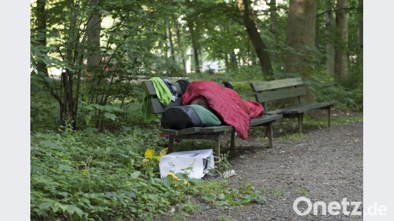 Ein Obdachloser liegt am frühen Morgen auf einer Bank in einem Park. Symbolbild: Paul Zinken