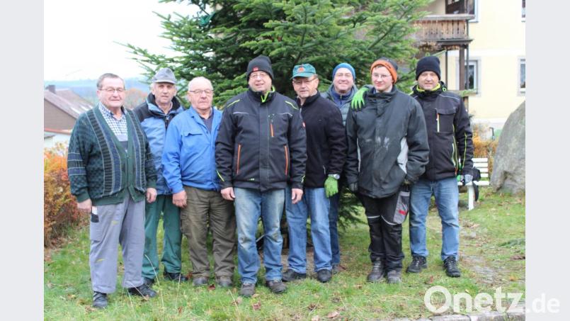Für den Christbaum am Dorfplatz waren (von links) Hans Heldwein, Willi Schwägerl, Josef Bäuml, Alois Sladky, Norbert Falk, Bernd Schwamberger, Wolfgang Gleißner und Willibald Sladky zuständig. Bild: rdh