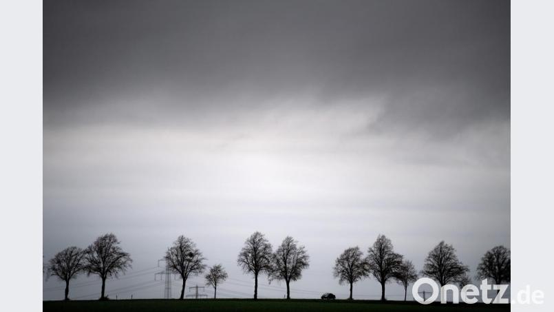 Sie will das Thema enttabuisieren: Eine 31-jährige Ambergerin spricht über ihre Psychose. Bild: Sina Schuldt/dpa