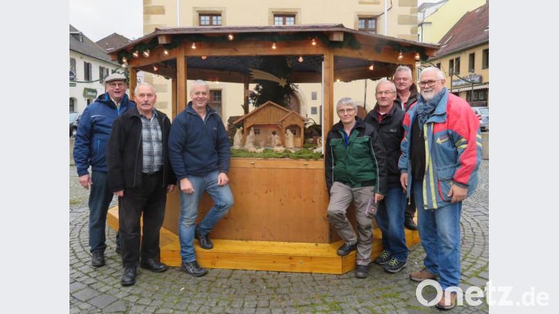 Pünktlich zum Weihnachtsmarkt am ersten Adventssonntag haben die Mitglieder der Schnitzergemeinschaft Grafenwöhr wieder ihre Krippenausstellung vor dem Rathaus aufgebaut. Stolz präsentieren (von links) Horst Rozinski, Willi Neumüller, Wolfgang Herzog, Maria Ott, Werner Ohla, Ludwig Brunner und Manfred Stahl die kunstvoll arrangierte Landschaft. Bild: ow