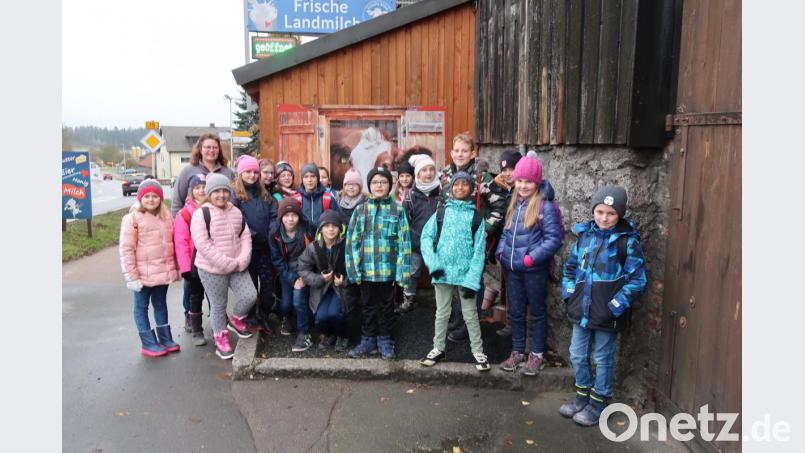 Die Kombiklasse 3/4 der Grundschule Plößberg schaute sich mit ihrer Lehrerin Ulrike Remold auf dem Walerhof in Pilmersreuth an der Straße um. Michaela Weigl (links, hinten) zeigte den Schülern den Familienbetrieb. Bild: exb