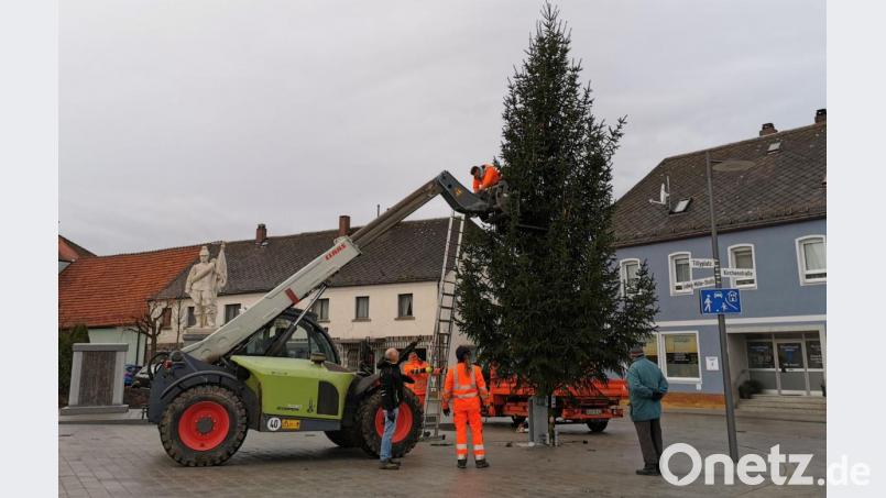 Für den Weihnachtsbaum und im Mai für den Maibaum wurde am Tillyplatz eigens eine Halterung installiert. Bild: gz