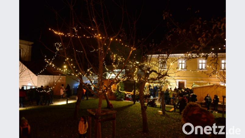 Lichterketten waren durch die Obstbäume vor dem Landrichterschloss gezogen worden - ein wunderbarer Anblick. Bild: bey