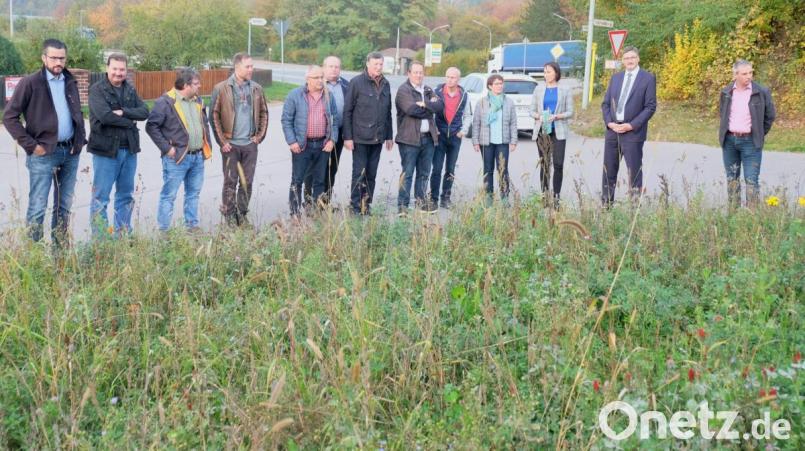 Zum Auftakt der Besichtigungsfahrt vor der Oktobersitzung nahm der Gemeinderat Stulln die im Frühjahr erstmals angesäte Blühwiese zwischen den Straßen Vogelherd und Sportplatzweg in Augenschein. Aufgrund der umfangreichen Tagesordnung behandelte das Gremium die angefahrenen Punkte nun in der jüngsten Sitzung Archivbild: ohr