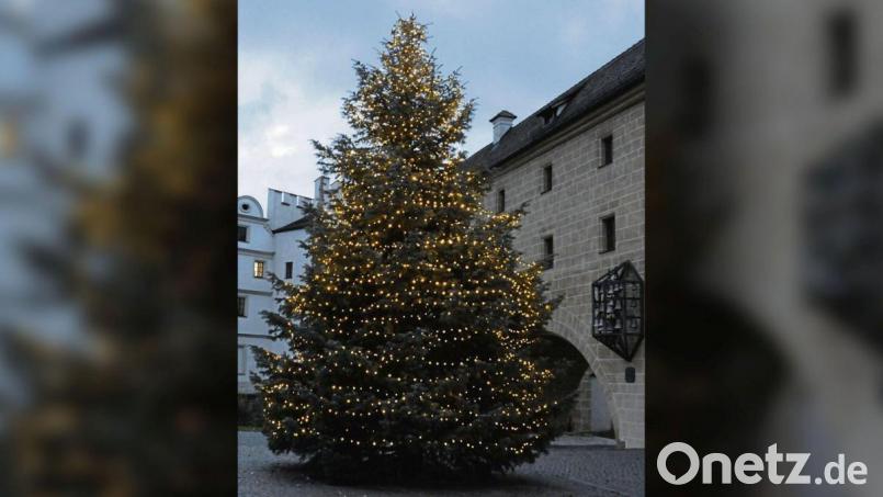 Einer der beiden Weihnachtsbäume auf dem Gelände des Landratsamtes in Amberg. Bild: Christine Hollederer