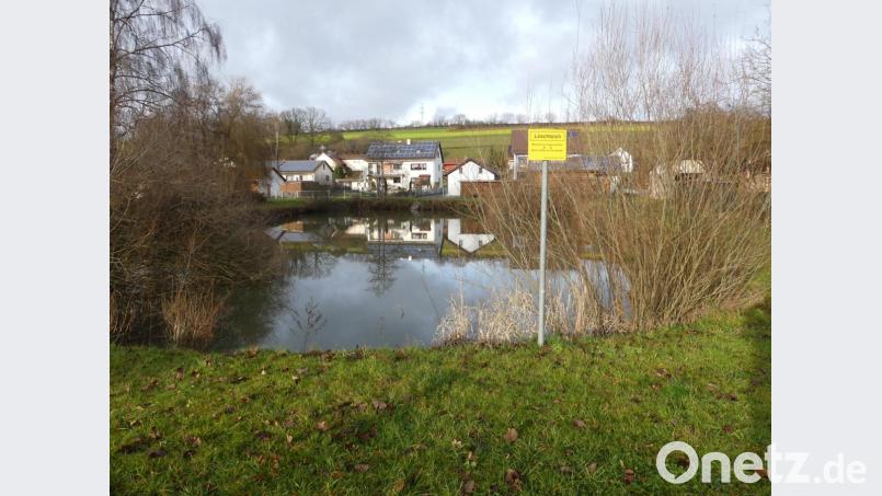 Der Apfelbacher Löschteich ist älteren Bewohnern noch als flaches Gewässer in einer Schilflandschaft in Erinnerung. Das jetzige Ausmaß erhielt er vor Jahrzehnten durch den Einsatz einer US-Einheit. Nun wird er umzäunt Bild: rn