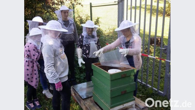 Die Mädchen und Jungen der Arbeitsgemeinschaft Schulimkerei verrichten alle im Jahreslauf anfallenden an ihrem Bienenvolk selbst. Zum Schutz vor Stichen tragen sie dabei Imkerschleier und Handschuhe. Bild: u