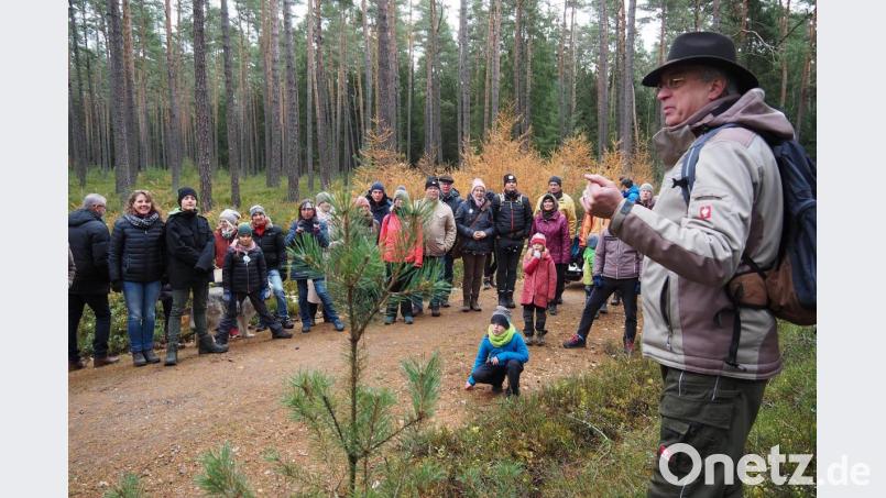 Markus Liebl vom Landesbund für Vogelkunde führt durch den Wald. Bild: Bühner