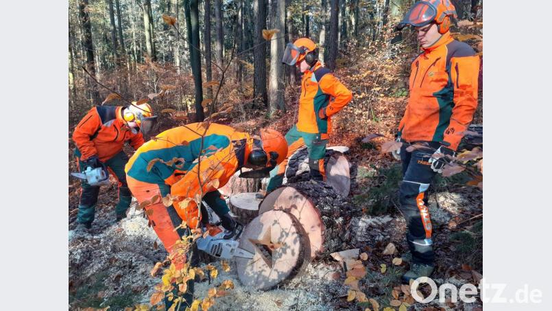 Im Wald fliegen die Späne für einen guten Zweck. Bild: exb