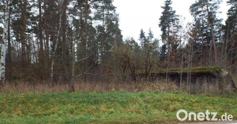 Beide Betonseitenteile einer Flugzeughalle die heute noch zu sehen sind. Bild: e