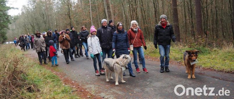 Die Hunde tragen Schilder &quot;Dogs for Forest&quot;. Bild: Bühner