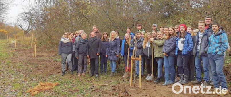 Die Achtklässler der Mittelschule packten beim Anlegen der Streuobstwiese kräftig mit an. Mit auf dem Bild Rektorin Sabine Graser (Neunte von links), Bürgermeister Hans Donko (Sechster von links), Lehrer Bernhard Reiß (Fünfter von links) sowie die Vereinsvorstände Lucia Heindl (Dritte von links), Anton Hauer (Dritter von links) und Klaus Schmidt (Siebter von links) Bild: njn