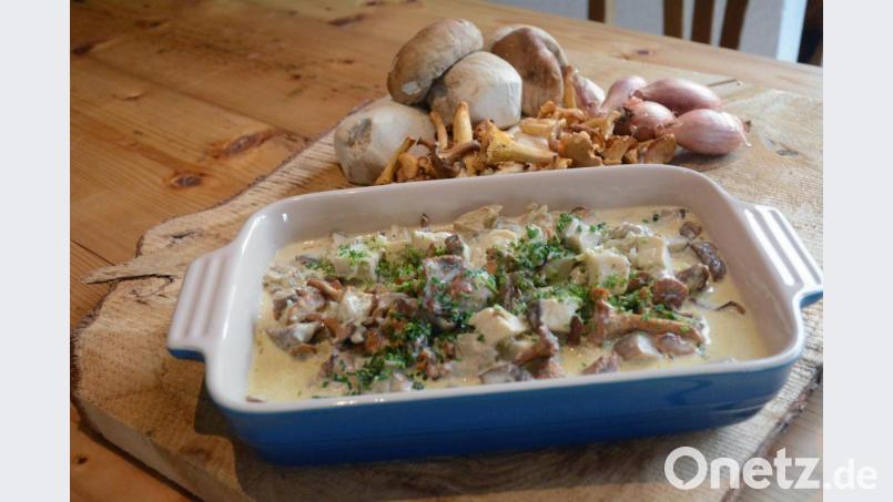 Schwammerl - schnell und köstlich | Onetz