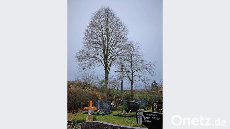 Auf dem Friedhof Neunaigen soll die Linde links neben dem Friedhofskreuz entfernt werden. Bild: twi